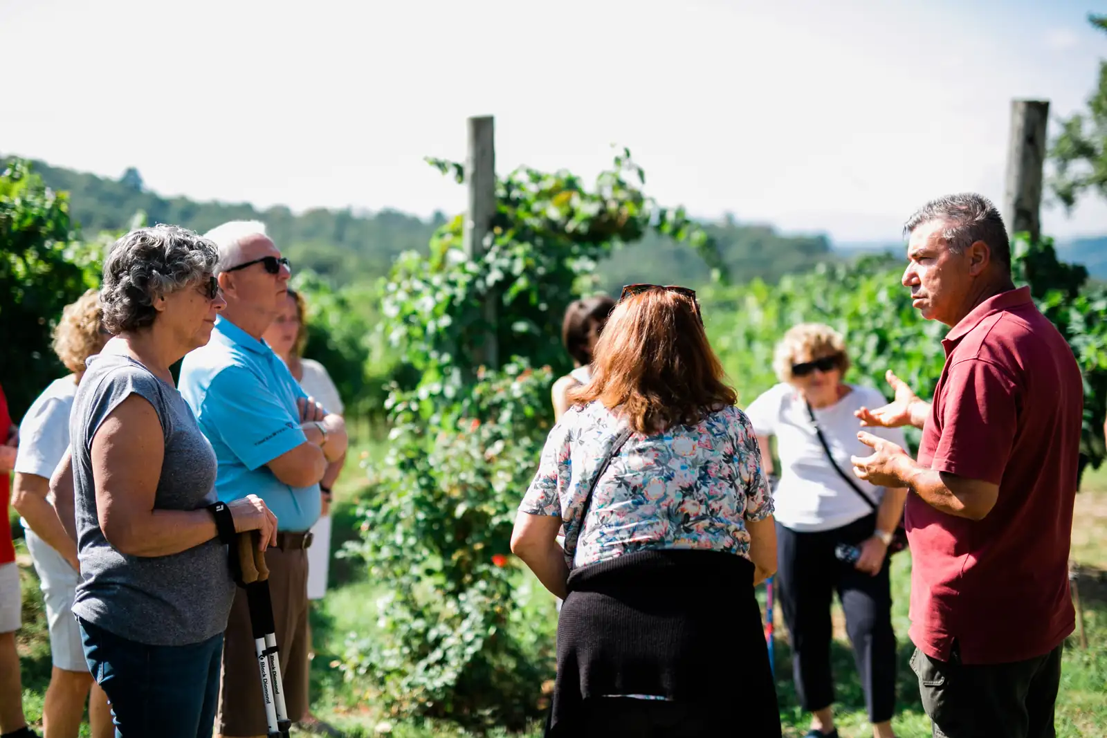 La Locanda del Ruspante Vineyard